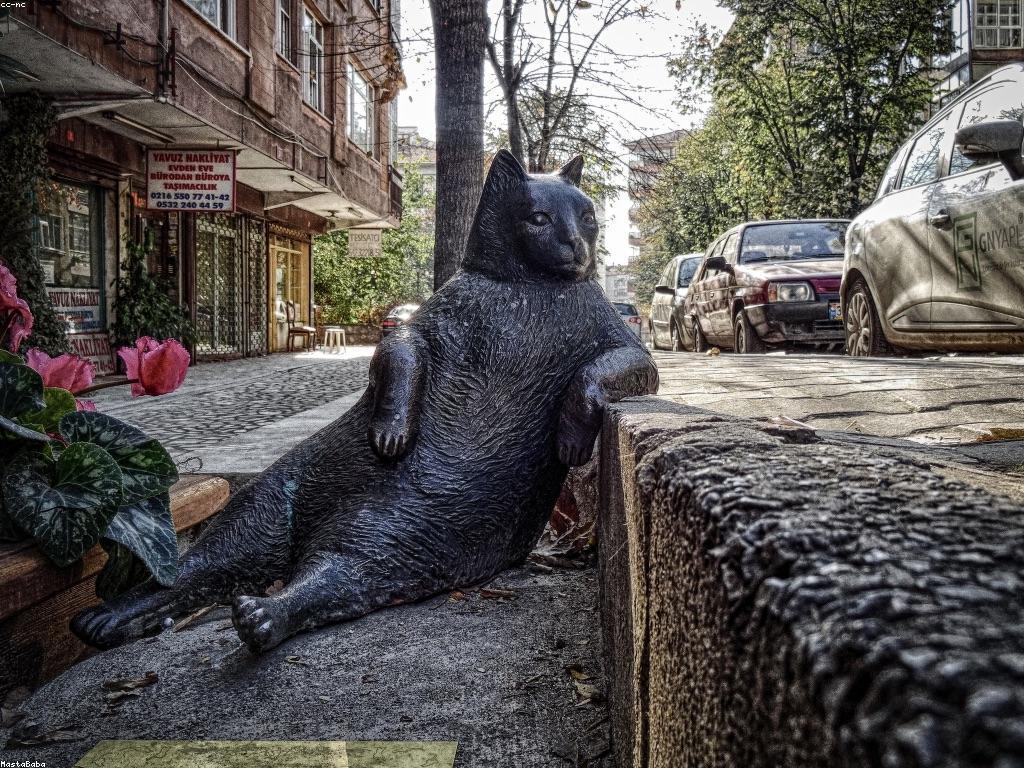 ឱកាសវិនិយោគសំរាប់អ្នកចាប់ផ្តើម